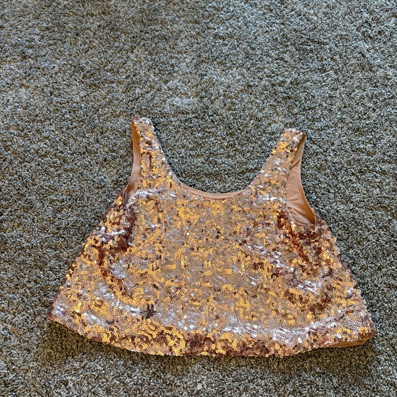 Sequin Embellished Rose Gold Crop Top - Picture 5 of 5